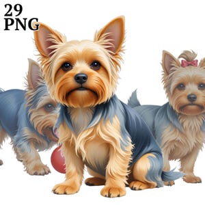Pacote com 29 cliparts de Yorkshire Terrier, clipart de Yorkie, PNG de alta resolução, download digital, álbum de recortes, diário de sucata, artesanato, uso comercial
