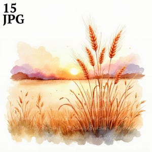15 gouden zonsonderganggras clipart, wilde hoge kwaliteit jpg's, commercieel gebruik, geheugenboek, digitale planners, ambacht, instant download, scrapbooking