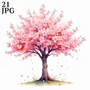21 cliparts aquarelle de fleurs de cerisier, Sakura, fichiers JPG de haute qualité, téléchargement numérique, fabrication de cartes, présentations, techniques mixtes, créations en papier