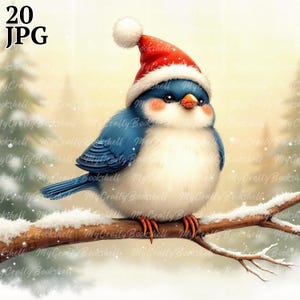 20 imágenes prediseñadas de pájaros navideños en formato JPG, uso comercial, efímeras caprichosas, imágenes prediseñadas de pájaros de invierno en acuarela, descarga instantánea, manualidades de papel, pájaros lindos