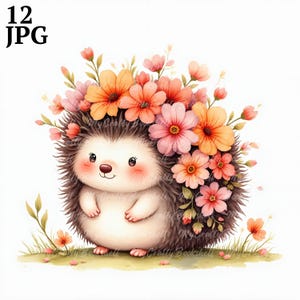 12 Kwiatowy Jeż Clipart Wysokiej Jakości JPG, Komercyjne Użytkowanie Cyfrowe Pobieranie, Tworzenie Kartek, Cyfrowe Papierowe Rzemiosło, Clipart Cyfrowy