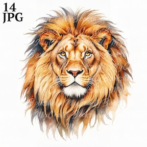 Watercolor Lion Clipart: High-Resolution PNGs (Digital Download)