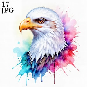 17 Patriotic Eagle Clipart, Bald Eagle, Printable Watercolor clipart, High Quality JPGs, Digital download, Paper craft, junk journals
