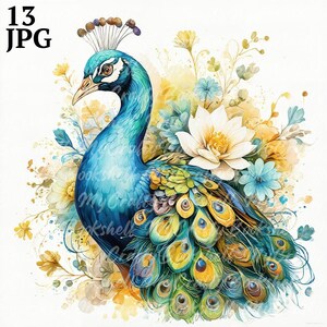 13 Adorable Peacock Clipart, Printable Watercolor clipart, High Quality JPG/JPGs, Digital download, Paper craft, junk journals