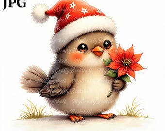 9 süße, wunderliche Weihnachten Vogel Clipart, lustige Vogel Clipart, JPGs, digitaler Download, Aquarell Clipart, Printables, kommerzielle Lizenz