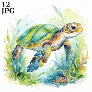 12 Watercolor Turtle Clipart, Marine Turtle, Printable Watercolor clipart, High Quality JPG, Digital download, Paper craft, junk journal