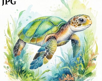 Watercolor Turtle Clipart: Marine PNG Images (Digital Download)