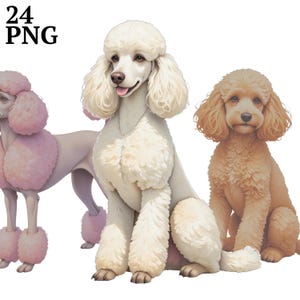 24 Poodle Clipart, Dog Clipart, Poodle Clip Art PNG for Scrapbook, Junk Journaling, Crafts, Commercial Use, Digital Download