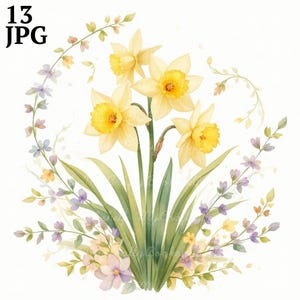 Watercolor Daffodil Clipart: Wildflower PNG Files (Digital Download)