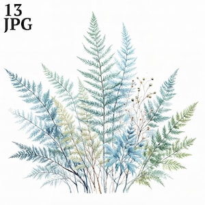 13 Clipart de feuilles de fougère abstraite, fougère Clipart, clipart aquarelle imprimable, JPG de haute qualité, téléchargement numérique, créations en papier, journaux indésirables