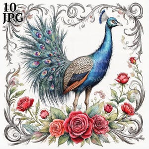 10 cliparts floraux paon, roses romantiques, clipart aquarelle imprimable, fichiers JPG de haute qualité, téléchargement numérique, créations en papier, journaux indésirables