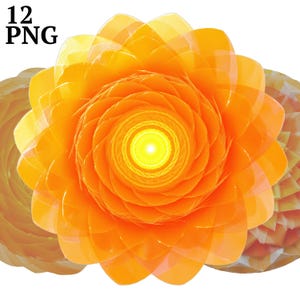 12 Clipart di cerchi arancioni, ClipArt di forme lucide astratte, PNG ad alta risoluzione per album, diario di spazzatura, artigianato, uso commerciale, digitale