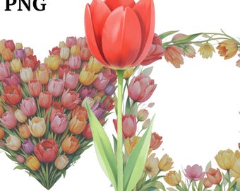 Conjunto de clipart de tulipas: imagens PNG florais para uso comercial (download digital)
