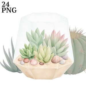 24 imágenes prediseñadas de suculentas, kit de imágenes prediseñadas de cactus en acuarela PNG, uso comercial, manualidades para álbumes de recortes, descarga digital