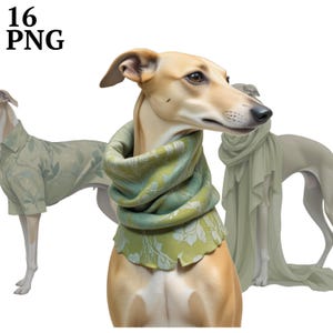 16 Clipart di levrieri, Clip Art di cani verde salvia, Levriero elegantemente vestito, File PNG ad alta risoluzione, Download digitale, Uso commerciale, Album di ritagli...