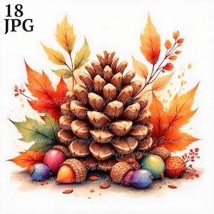 Fall Watercolor Clipart: Autumn Leaves, Pinecone, Acorns (Digital Download)