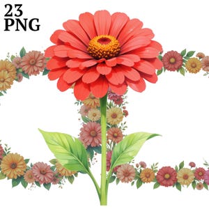 Zinnia Flower Clipart: Bright PNG Images for Scrapbooking (Digital Download)