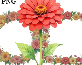 Zinnia Flower Clipart: Bright PNG Images for Scrapbooking (Digital Download)