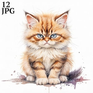 12 imágenes prediseñadas de gatito triste y gruñón, imágenes prediseñadas de gato, imágenes prediseñadas de acuarela imprimibles, archivos JPG de alta calidad, descarga digital, manualidades de papel, diarios basura