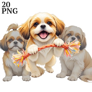 Shih Tzu Clipart Set: High-Res PNG Images for Commercial Use (Digital Download)