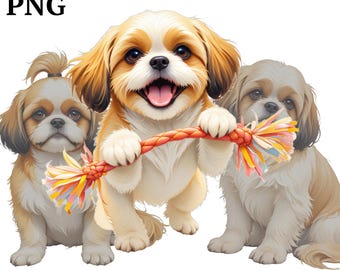 Cute Shih Tzu Clipart Bundle | 14 PNG Images | Digital Download | High ...