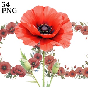34 Mohnblume Clipart, Blumenrahmen Clip Art PNG, Aquarell Mohnblumen für Scrapbook, Junk Journal, Handwerk, kommerzielle Nutzung, Digital
