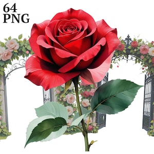Rose Garden Clipart: Floral Frames PNG, Scrapbook & Commercial Use (Digital Download)