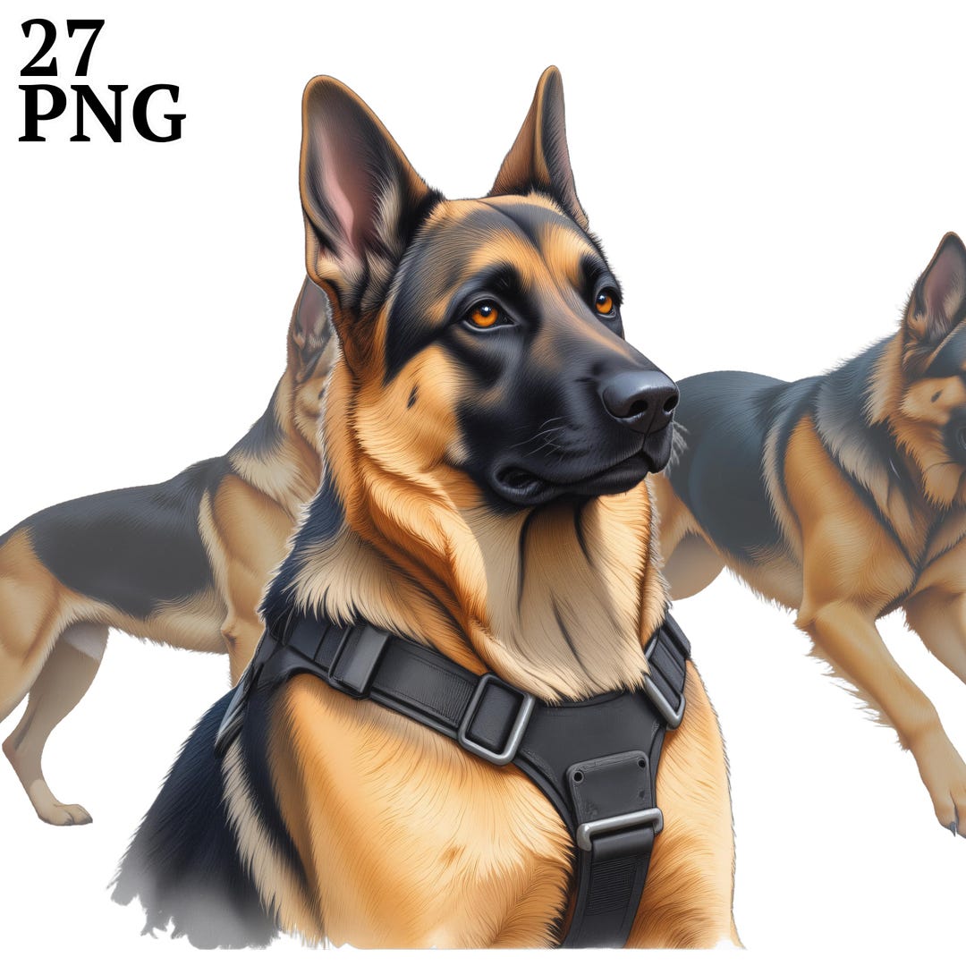 German Shepherd Clipart Bundle: High-res Dog Graphics (commercial Use ...