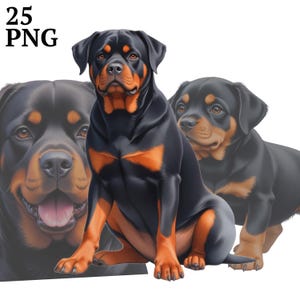 25 Rottweiler Clipart, Realistic Rottweiler Clip Art PNG, Commercial Use, Digital Download, Scrapbook, Junk Journal, Crafts