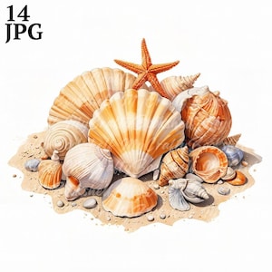 14 Sea Shells Clipart, Seashell Clipart, Printable Watercolor clipart, High Quality JPG, Digital download, Paper craft, junk journal