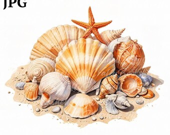 Watercolor Sea Shells Clipart: Printable PNG Images (Digital Download)