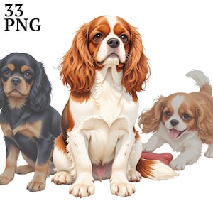 33 Clip Art de Cavalier King Charles Spaniel, Clip Art de Filhote de Cachorro PNG, Download Digital, Uso Comercial, para Artesanato, Scrapbook, Diário de Junção