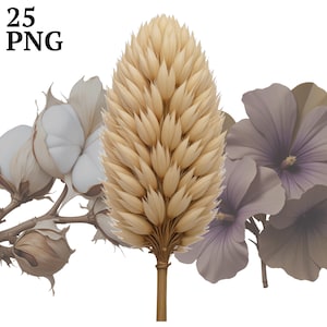 25 clipart de flores secas, clipart botânico natural PNG, diário de sucata de algodão, scrapbook, artesanato, uso comercial, download digital