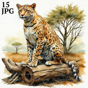 15 Leopard Clipart, Watercolor Leopard, Printable Watercolor clipart, 12 High Quality JPGs, Digital download, High resolution, Paper crafts