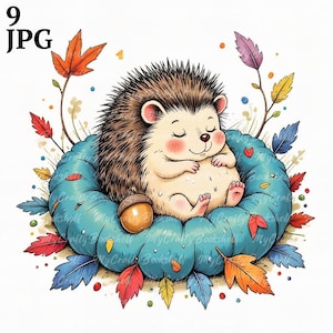 9 Cute Hedgehog Sleeping Clipart, Printable Watercolor clipart, High Quality JPGs, Digital download, Paper craft, junk journals