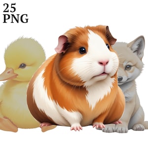 25 cliparts animaux aquarelle, mignon bébé animaux Clip Art, PNG pour scrapbooking, journal indésirable, travaux manuels, usage commercial, téléchargement numérique
