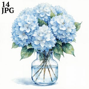 Blue Hydrangea Watercolor Clipart: Floral PNGs for Junk Journals (Digital Download)