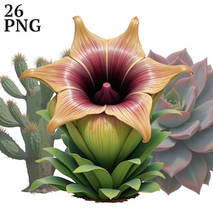 26 imágenes prediseñadas de suculentas, cactus, vegetación botánica PNG para álbumes de recortes, revistas, manualidades, uso comercial, descarga digital