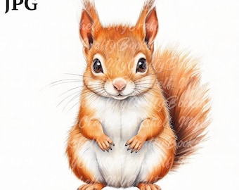 11 Cute Squirrel Baby Clipart, Printable Watercolor clipart, High Quality JPG/JPGs, Digital download, High resolution, Paper crafts