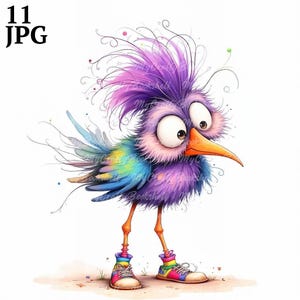 11 imágenes prediseñadas de pájaros extravagantes, pájaros divertidos, imágenes prediseñadas digitales, imágenes prediseñadas de acuarela, archivos JPG de alta calidad, imágenes prediseñadas imprimibles, descarga digital, manualidades