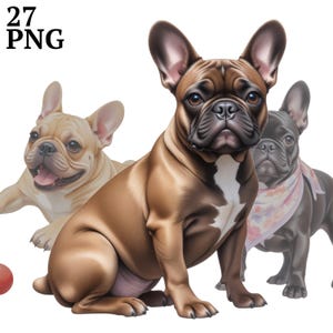 27 cliparts bouledogue français, chiot chien réaliste clipart PNG pour scrapbooking, journal indésirable, travaux manuels, usage Commercial, téléchargement numérique