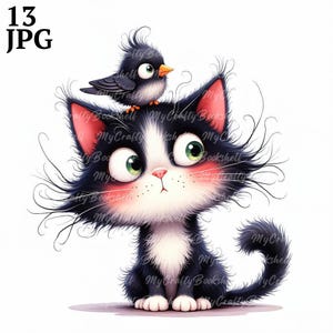 13 Zerfetzte Katze mit Vogel Clip Art hochauflösende JPGs in Aquarell, Junk Journal, Scrapbook, Kartenherstellung, Digital Download Kit, Skurrile Katze Clipart