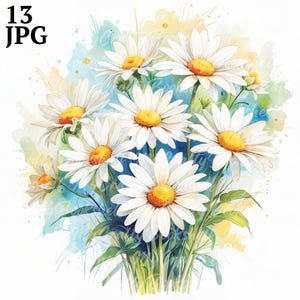 13 Gänseblümchen Bouquet Clipart, Gänseblümchen Clipart, druckbare Aquarell Clipart, hochwertige JPGs, digitaler Download, Papiermodell, Junk Journals