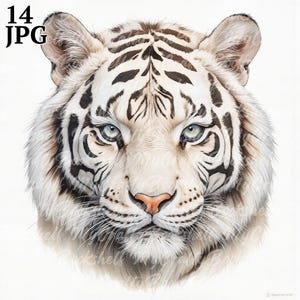 White Tiger Watercolor Clipart: High-Resolution PNGs (Digital Download)