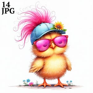 14 JPG Imágenes prediseñadas de pájaros con flores caprichosas, pájaros divertidos, imágenes prediseñadas digitales, imágenes prediseñadas de acuarela, licencia comercial, imprimible, descarga digital