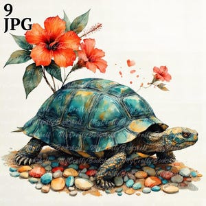 9 Schildkröte Clipart, Schildkröte Clipart, druckbare Aquarell Clipart, hochwertige JPG, digitaler Download, Papiermodell, Junk Journal