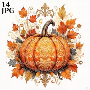 14 Clipart citrouille d'Halloween avec ornement, clipart aquarelle imprimable, fichiers JPG de haute qualité, téléchargement numérique, créations en papier, journaux indésirables