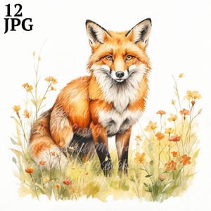 12 clipart renard dans la forêt, clipart aquarelle imprimable, JPG/JPG de haute qualité, téléchargement numérique, haute résolution, travaux manuels en papier, journal indésirable