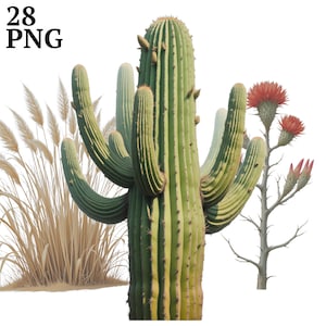 28 imágenes prediseñadas del desierto, imágenes prediseñadas de cactus del suroeste PNG, para manualidades de scrapbooking, uso comercial, descarga digital