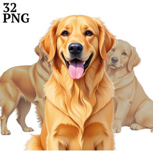 32 Golden Retriever Clipart, hond Clip Art bundel, hoge kwaliteit PNG voor scrapbook, junk Journal, ambachten, commercieel gebruik, digitale download